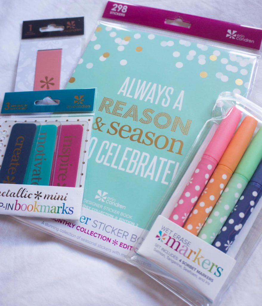 Erin Condren Life Planner & Accessories Review - Petite Style Script